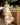 IMG-20231121-WA0002